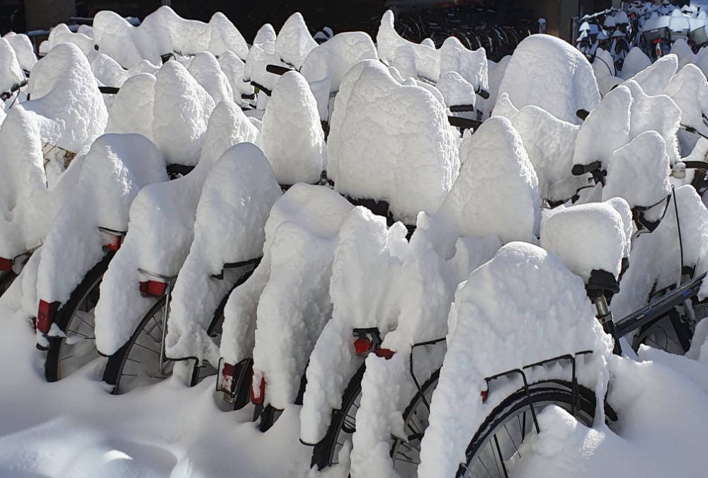 Das ZfS-Team ist ohne winterbedingte Einschränkungen für Sie und für Euch da!